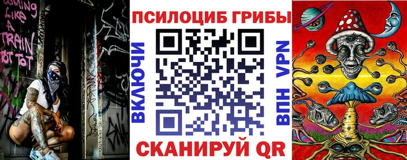 Псилоцибиновые грибы мицелий Топки